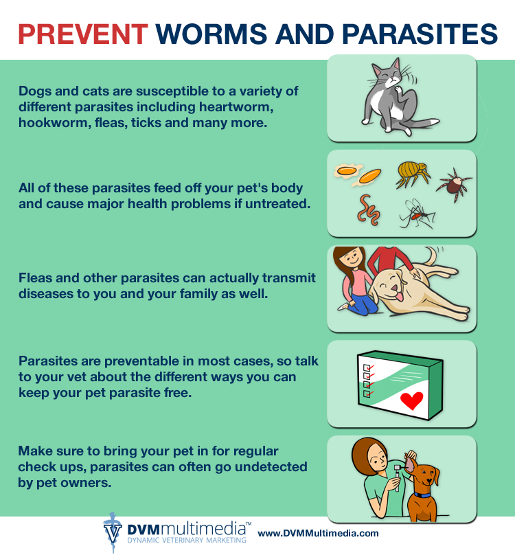 parasites